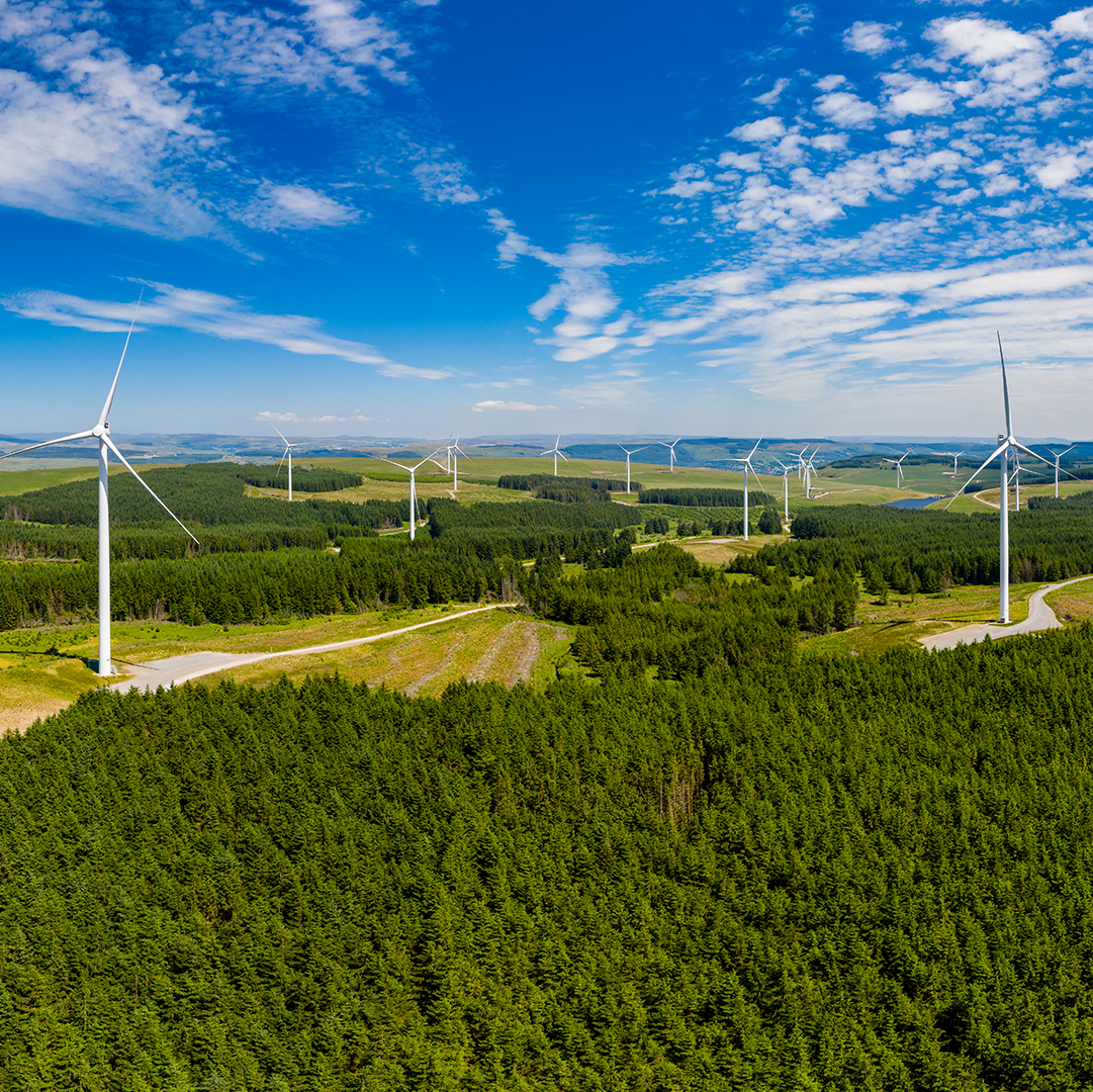 image of wind turbines in field